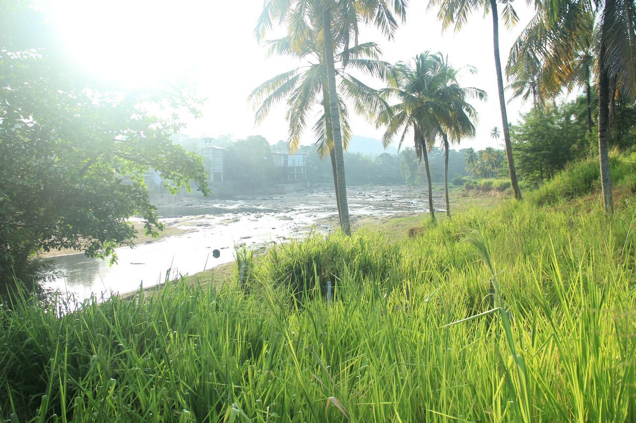 Ma Oya Retreat Pinnawala 宾那伟拉 外观 照片