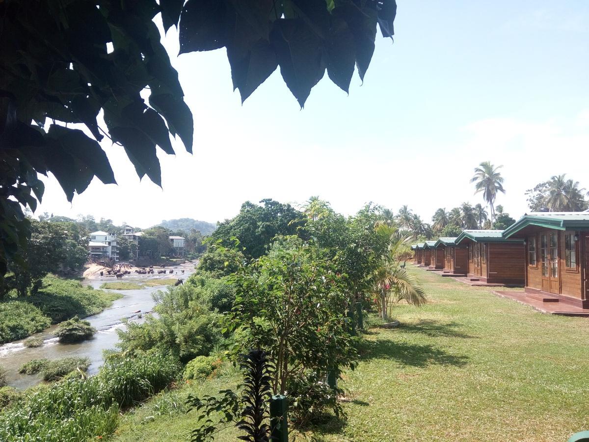 Ma Oya Retreat Pinnawala 宾那伟拉 外观 照片