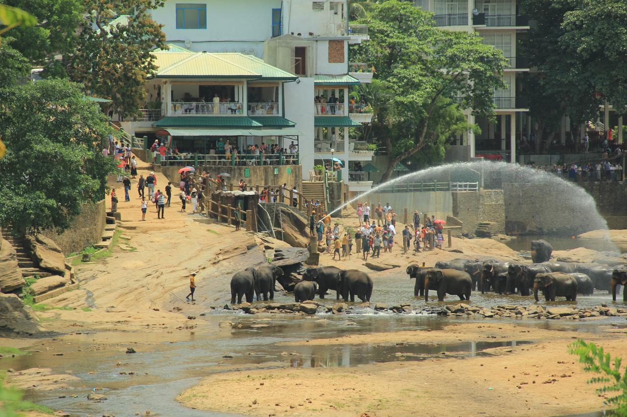 Ma Oya Retreat Pinnawala 宾那伟拉 外观 照片