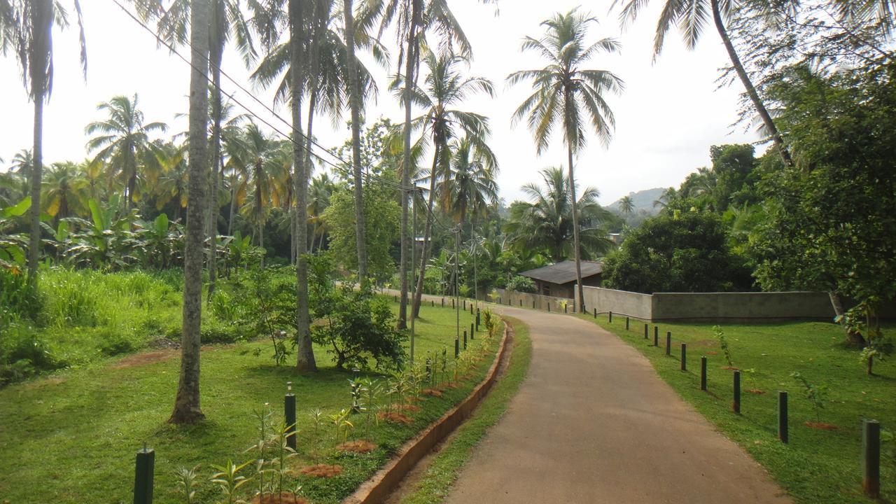 Ma Oya Retreat Pinnawala 宾那伟拉 外观 照片