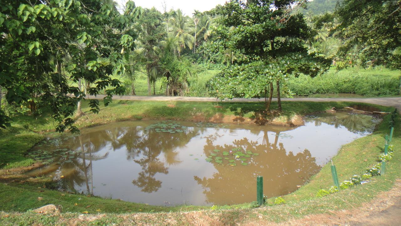 Ma Oya Retreat Pinnawala 宾那伟拉 外观 照片